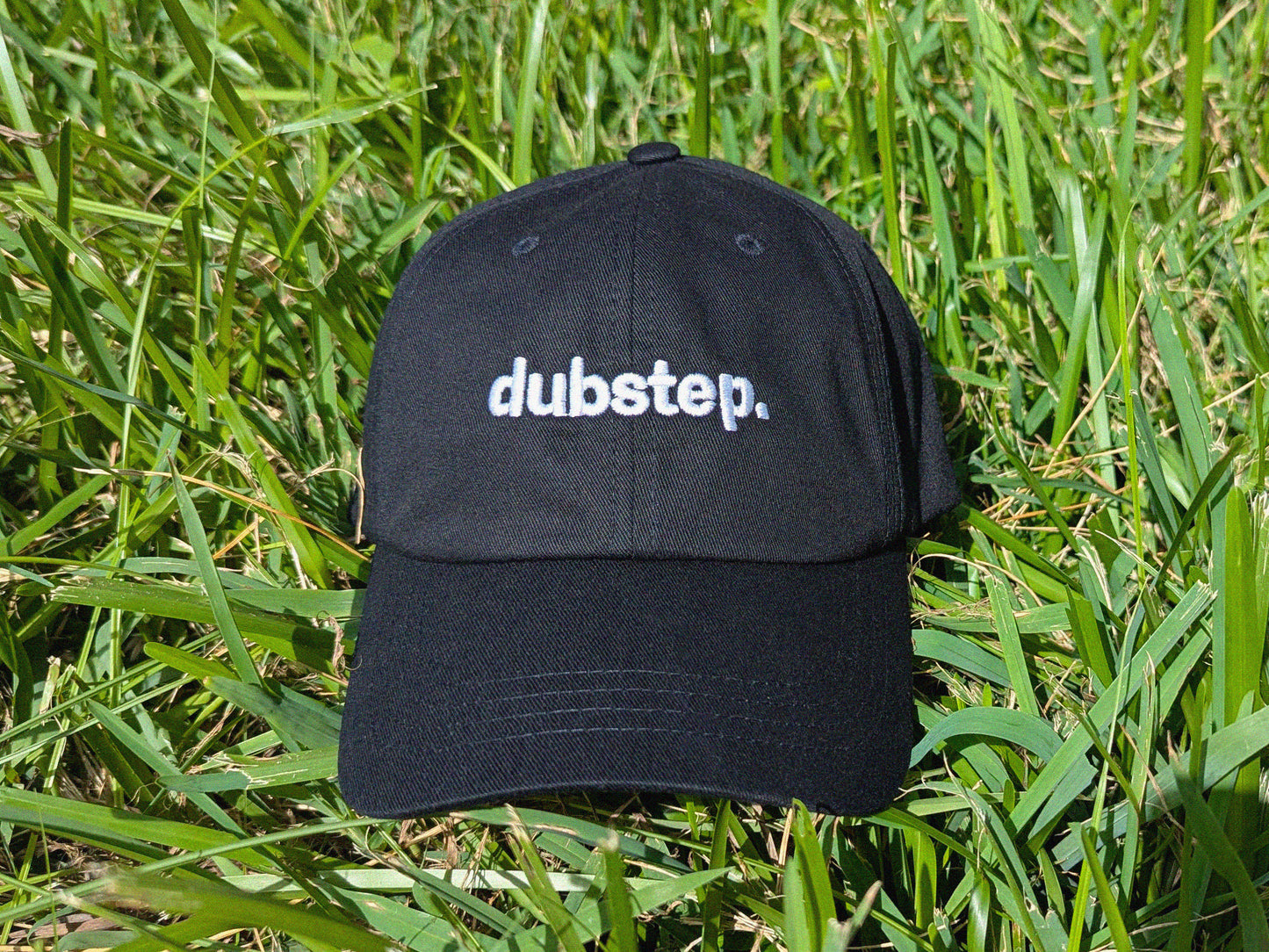 dubstep. Dad Hat