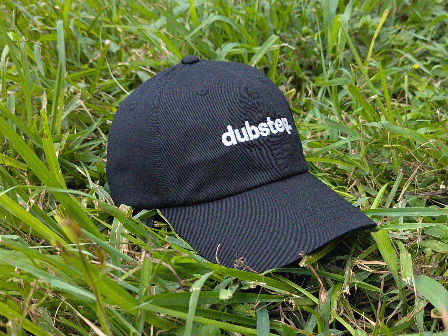 dubstep. Dad Hat